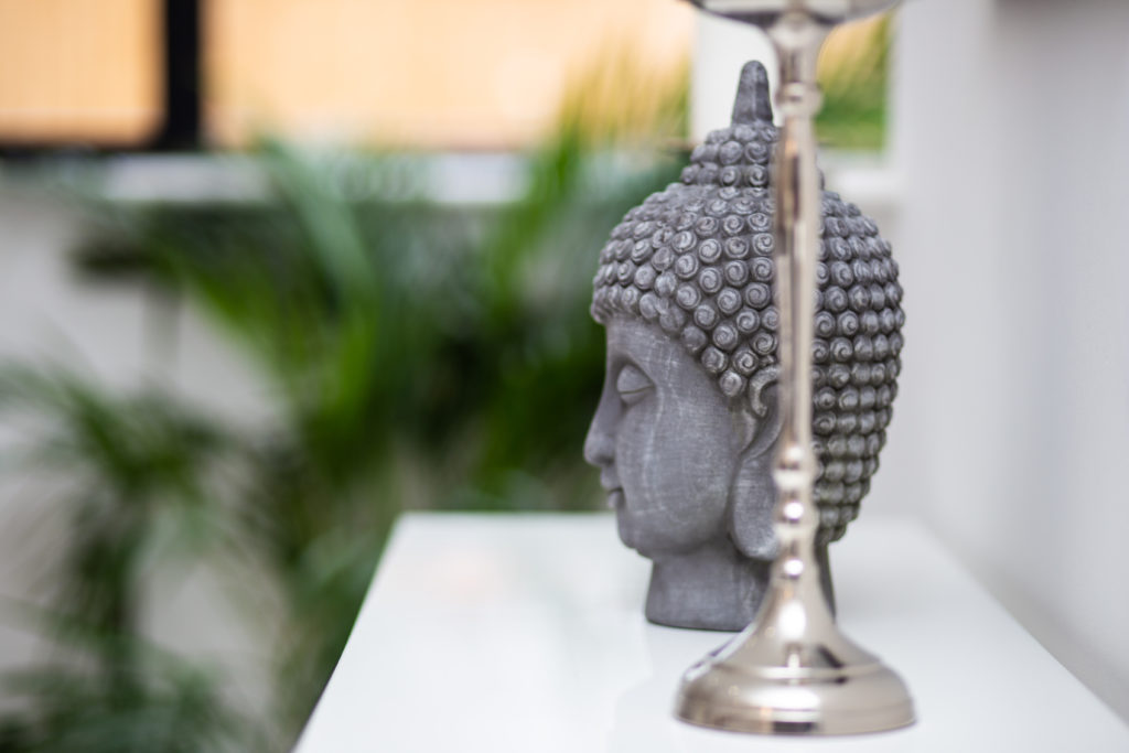 Visualisation tips buddha head